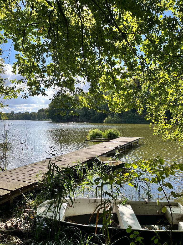 Działka na sprzedaż Wisławie 2 304 m2 | Arka Nieruchomości