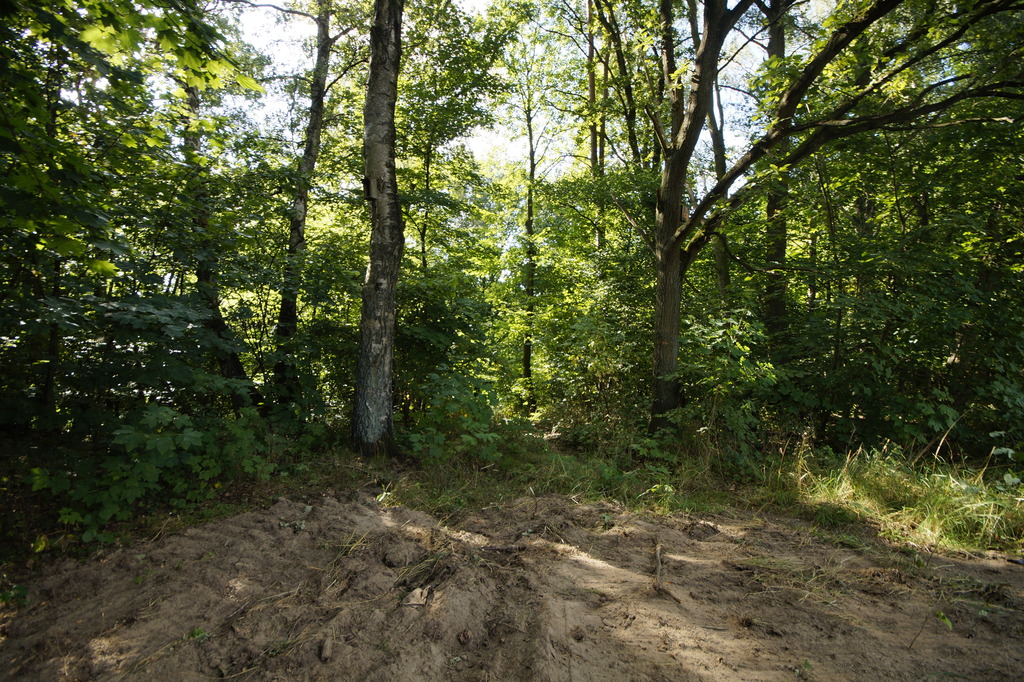 Działka na sprzedaż Wisławie 2 304 m2 | Arka Nieruchomości