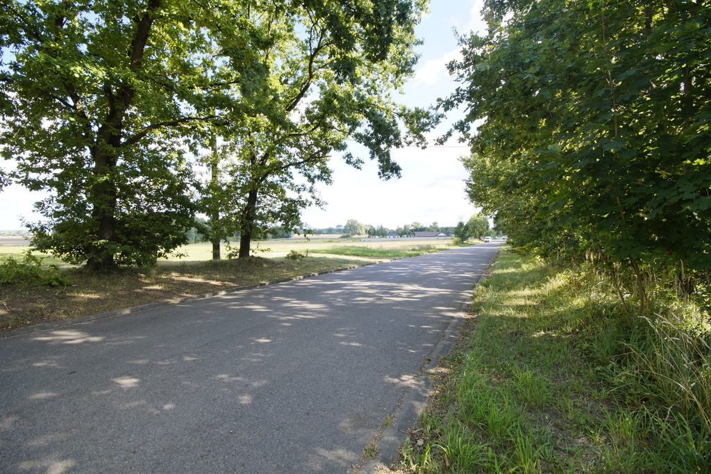 Działka na sprzedaż Wisławie 2 304 m2 | Arka Nieruchomości