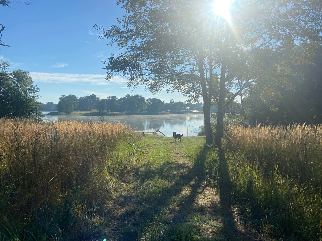 Działka na sprzedaż Objezierze 700 m2 | Arka Nieruchomości