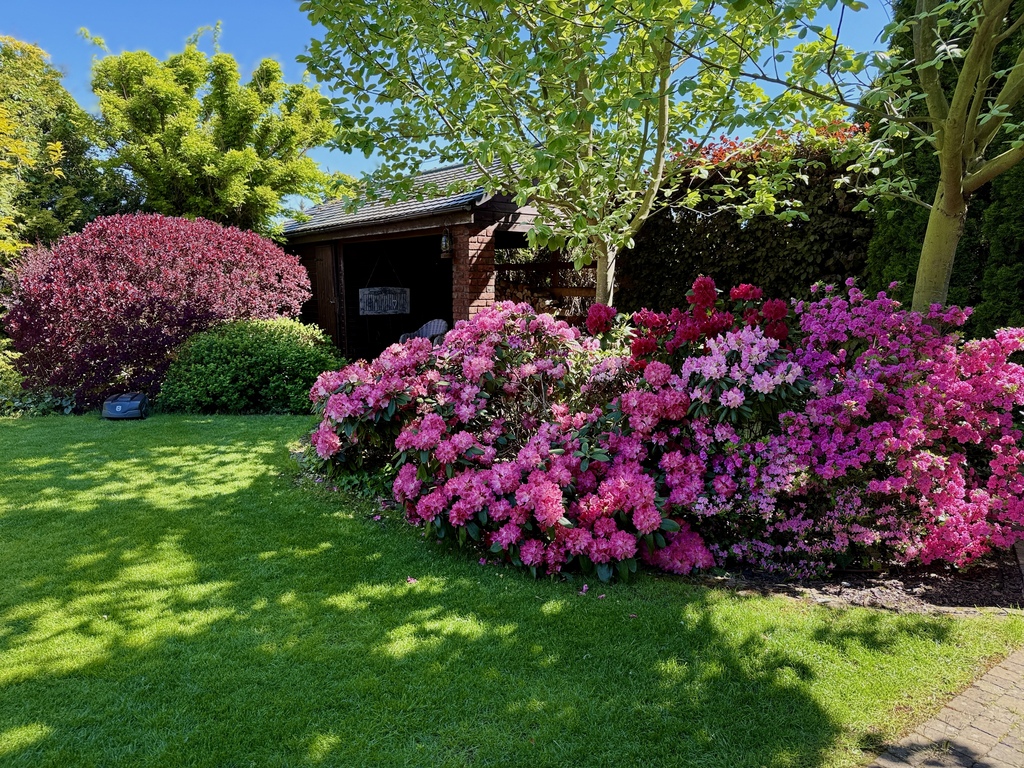 Dom na sprzedaż Mierzyn 336 m2 | Arka Nieruchomości