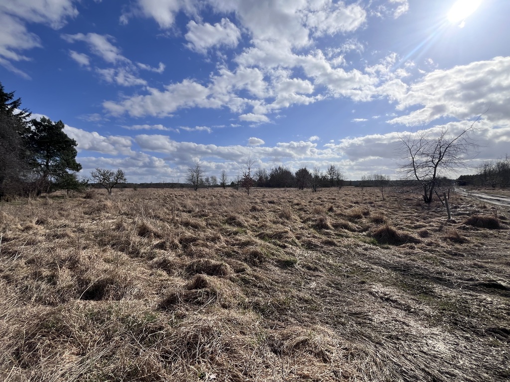 Działka na sprzedaż Łaniewo 1 280 m2 | Arka Nieruchomości