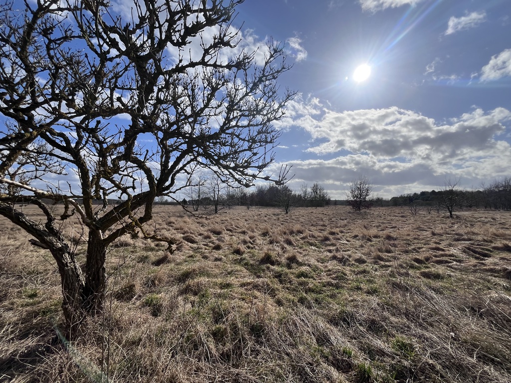 Działka na sprzedaż Łaniewo 1 280 m2 | Arka Nieruchomości