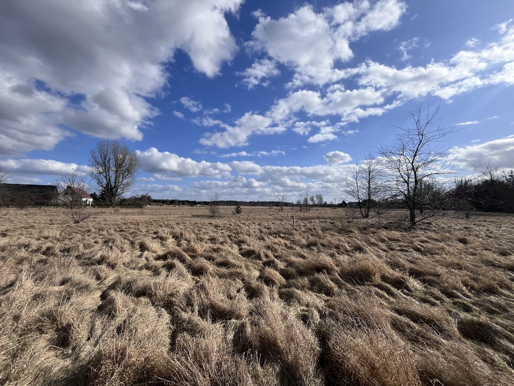 Działka na sprzedaż Łaniewo 1 280 m2 | Arka Nieruchomości