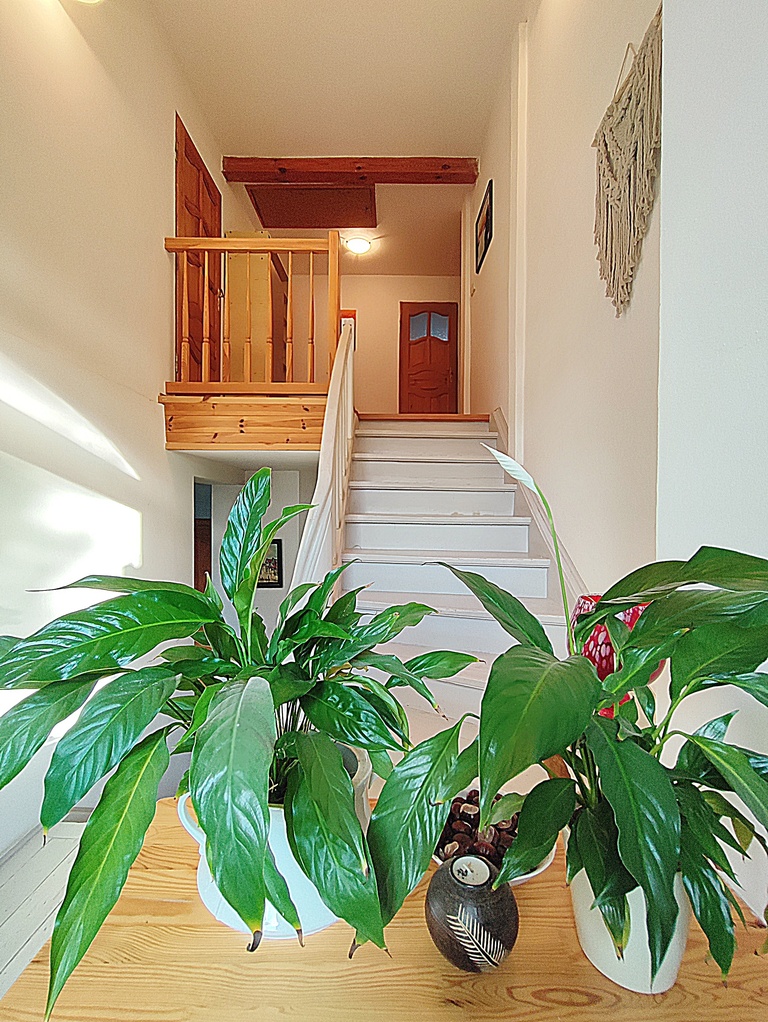 Dom na sprzedaż Stargard 292 m2 | Arka Nieruchomości