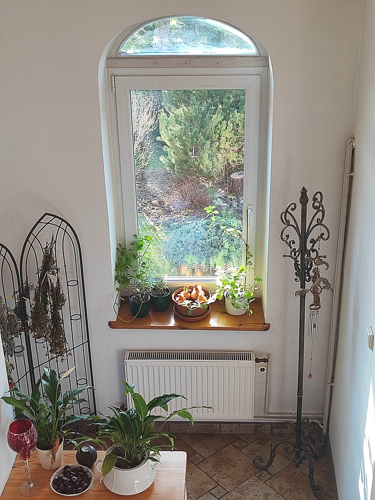 Dom na sprzedaż Stargard 292 m2 | Arka Nieruchomości