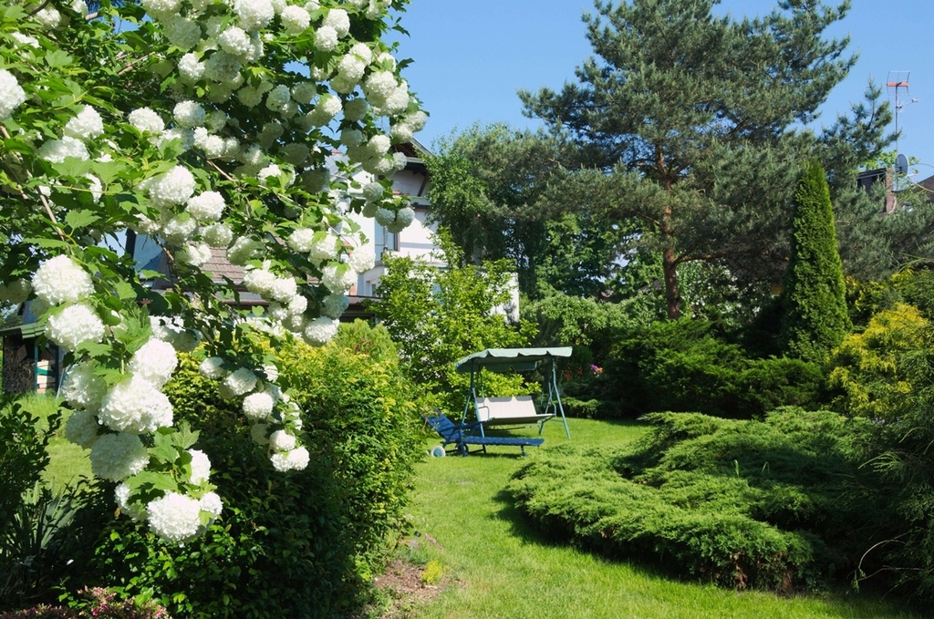 Dom na sprzedaż Stargard 292 m2 | Arka Nieruchomości