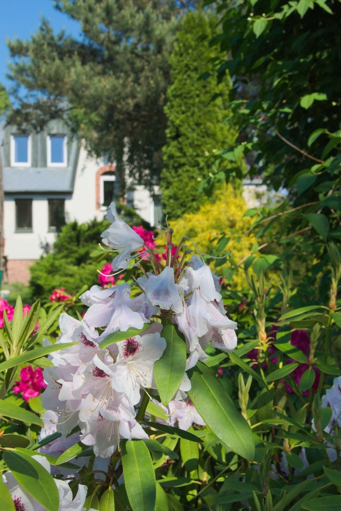 Dom na sprzedaż Stargard 292 m2 | Arka Nieruchomości