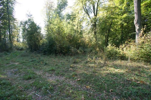 Działka na sprzedaż Dobra 501 m2 | Arka Nieruchomości