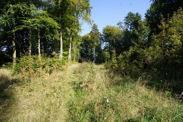 Działka na sprzedaż Dobra 501 m2 | Arka Nieruchomości