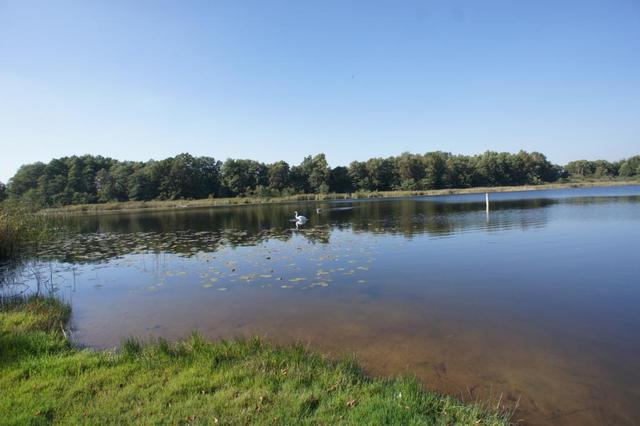 Działka na sprzedaż Dobra 501 m2 | Arka Nieruchomości