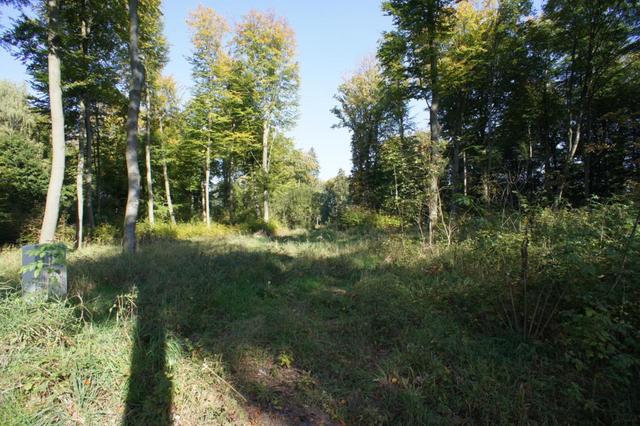 Działka na sprzedaż Dobra 701 m2 | Arka Nieruchomości