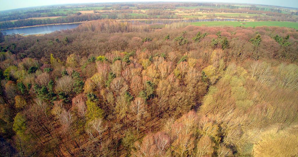 Działka na sprzedaż Dobra 701 m2 | Arka Nieruchomości
