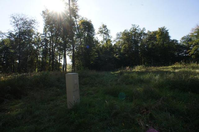 Działka na sprzedaż Dobra 701 m2 | Arka Nieruchomości