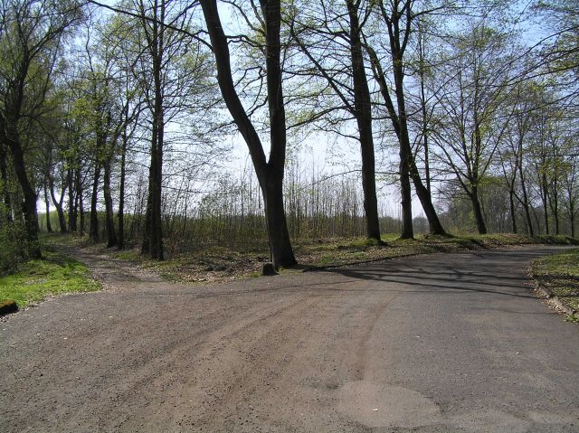 Działka na sprzedaż Dobra 701 m2 | Arka Nieruchomości