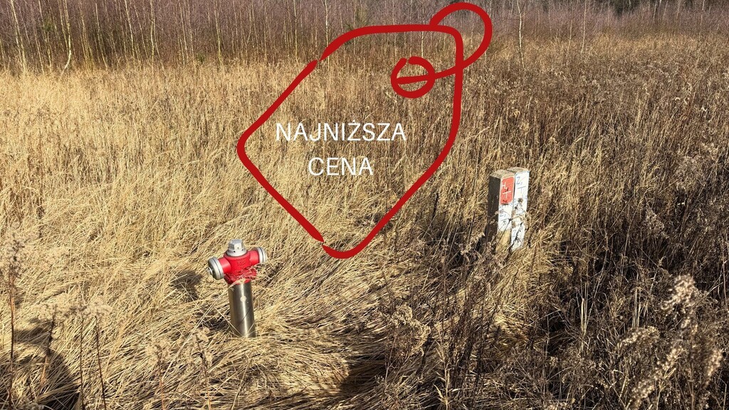 Działka na sprzedaż Żółwia Błoć 1 552 m2 | Arka Nieruchomości