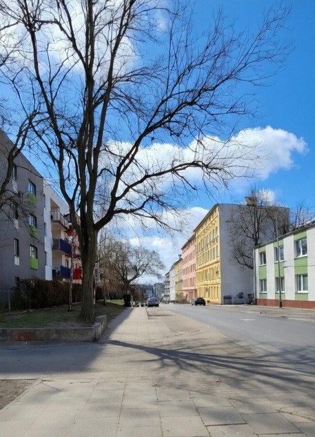 Lokal na wynajem Szczecin, Śródmieście 18 m2 | Arka Nieruchomości