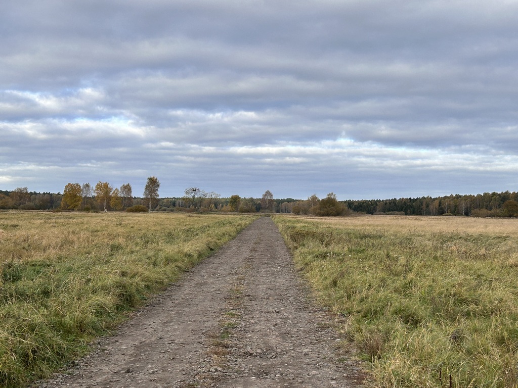 Działka na sprzedaż Niedźwiedź 1 245 m2 | Arka Nieruchomości