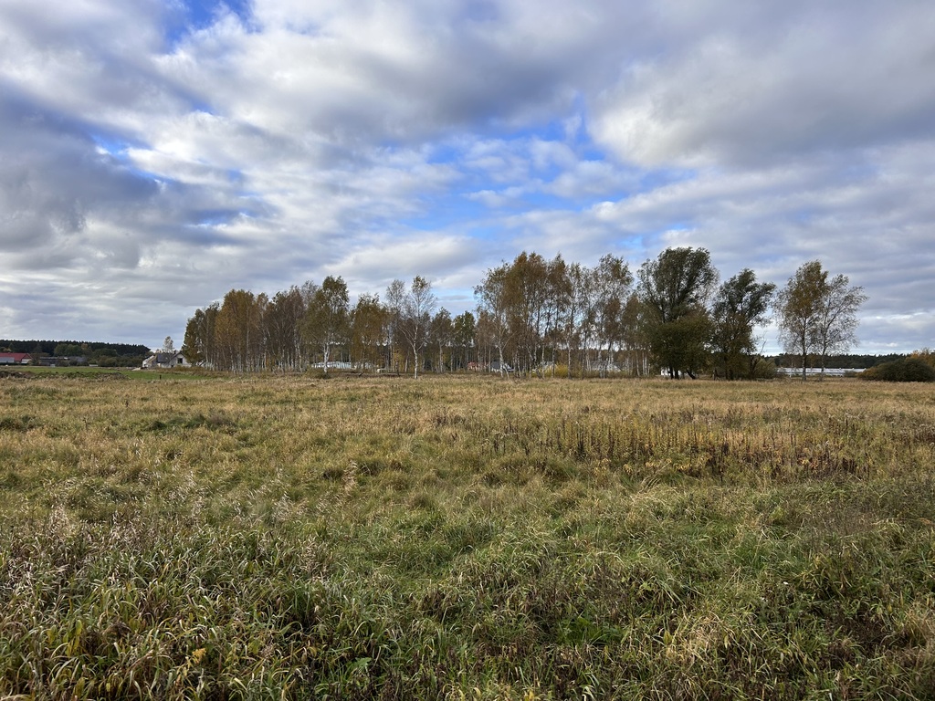 Działka na sprzedaż Niedźwiedź 1 245 m2 | Arka Nieruchomości