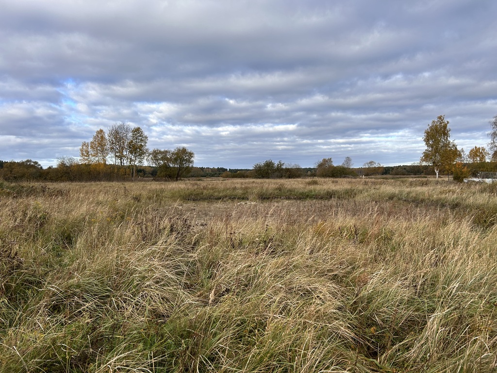 Działka na sprzedaż Niedźwiedź 1 245 m2 | Arka Nieruchomości