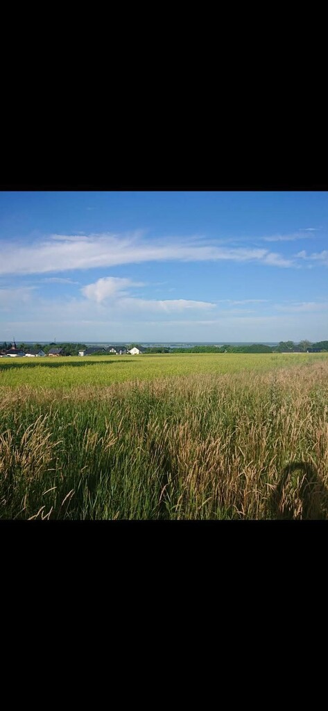 Działka na sprzedaż Szczecin, Skolwin 945 m2 | Arka Nieruchomości