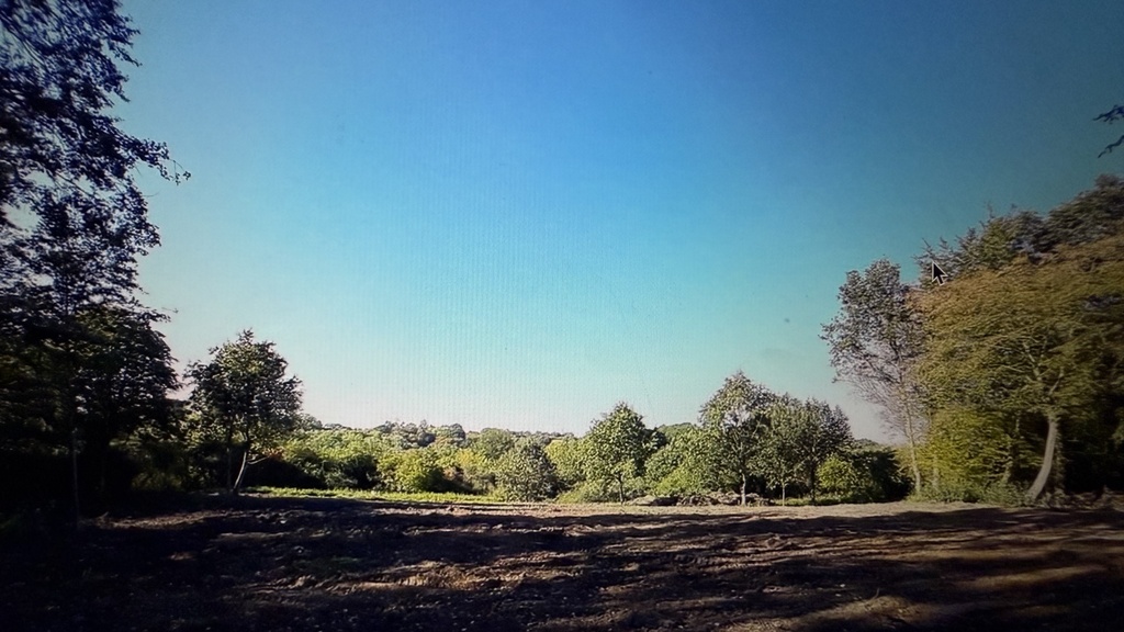 Działka na sprzedaż Szczecin, Skolwin 2 251 m2 | Arka Nieruchomości