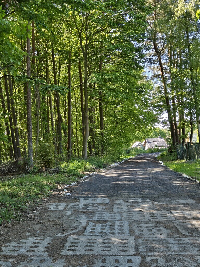 Działka na sprzedaż Wisełka 1 000 m2 | Arka Nieruchomości