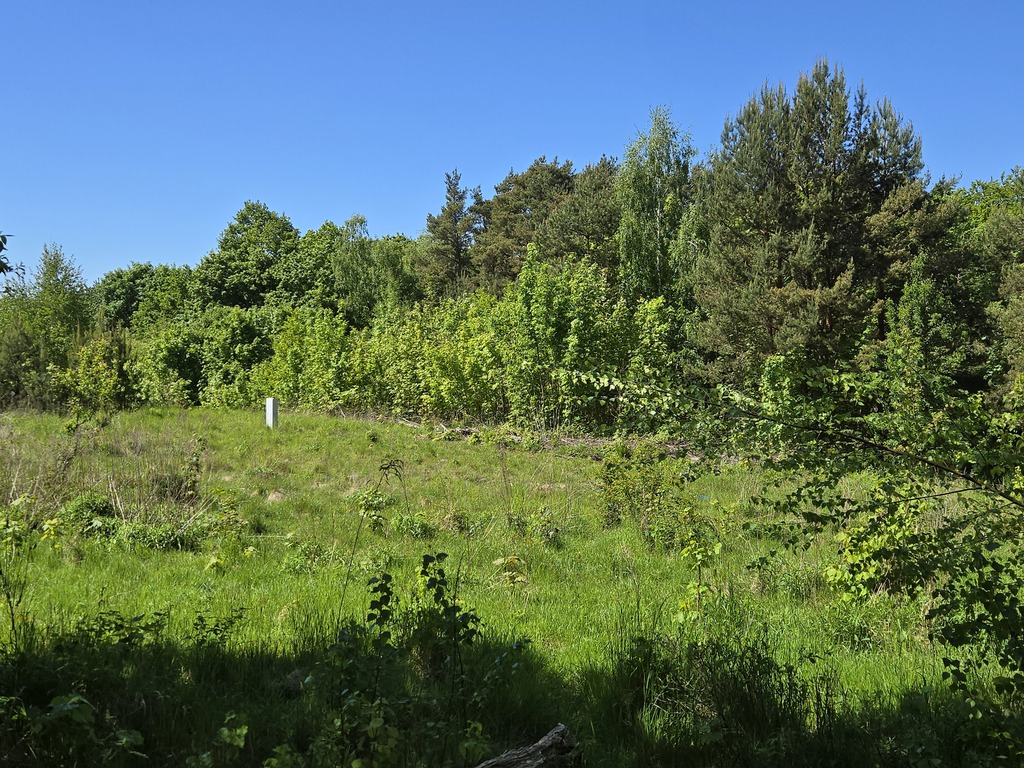 Działka na sprzedaż Wisełka 1 000 m2 | Arka Nieruchomości