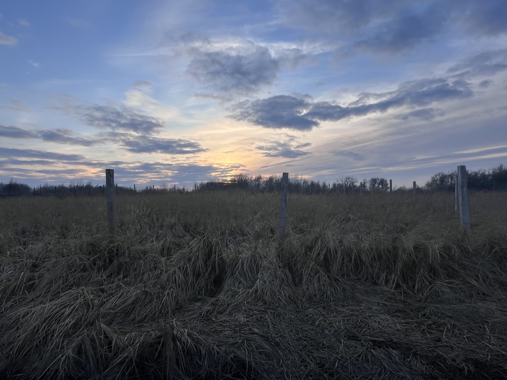 Działka na sprzedaż Szczecin, Skolwin 1 200 m2 | Arka Nieruchomości