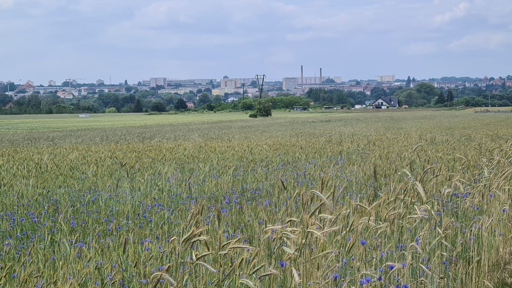 Działka na sprzedaż Stargard 867 m2 | Arka Nieruchomości