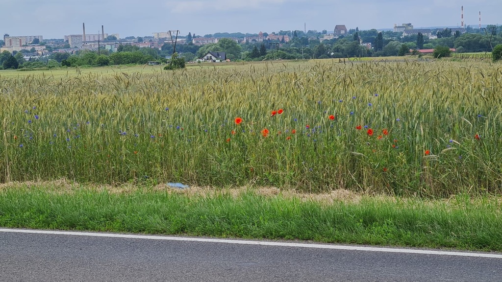 Działka na sprzedaż Stargard 867 m2 | Arka Nieruchomości