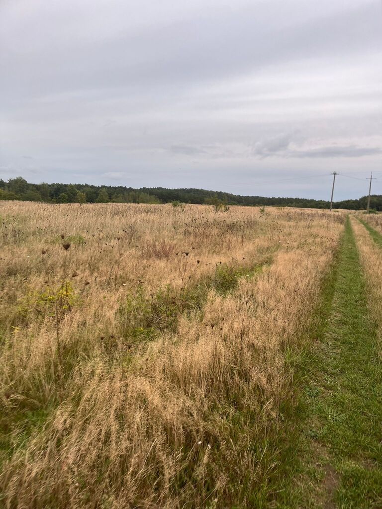 Działka na sprzedaż Storkowo 18 m2 | Arka Nieruchomości