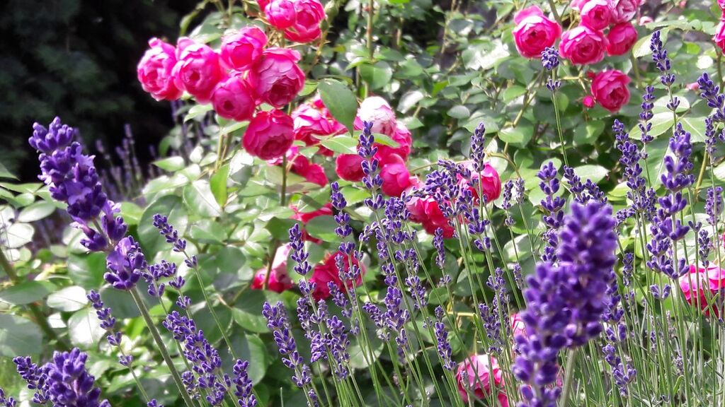 Dom na sprzedaż Przyjezierze 225 m2 | Arka Nieruchomości