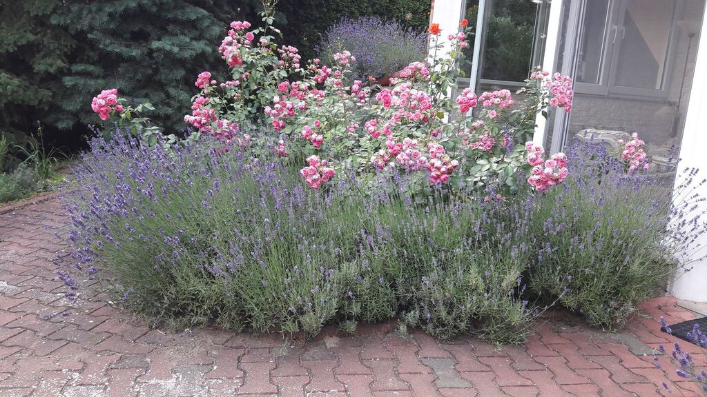 Dom na sprzedaż Przyjezierze 225 m2 | Arka Nieruchomości