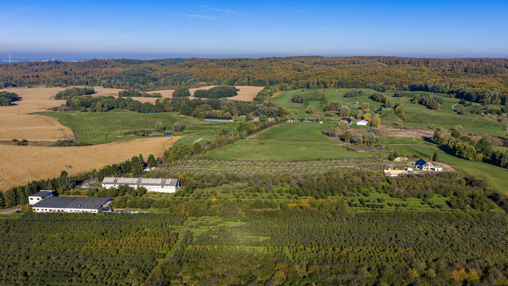 Obiekt na sprzedaż Binowo 160 m2 | Arka Nieruchomości