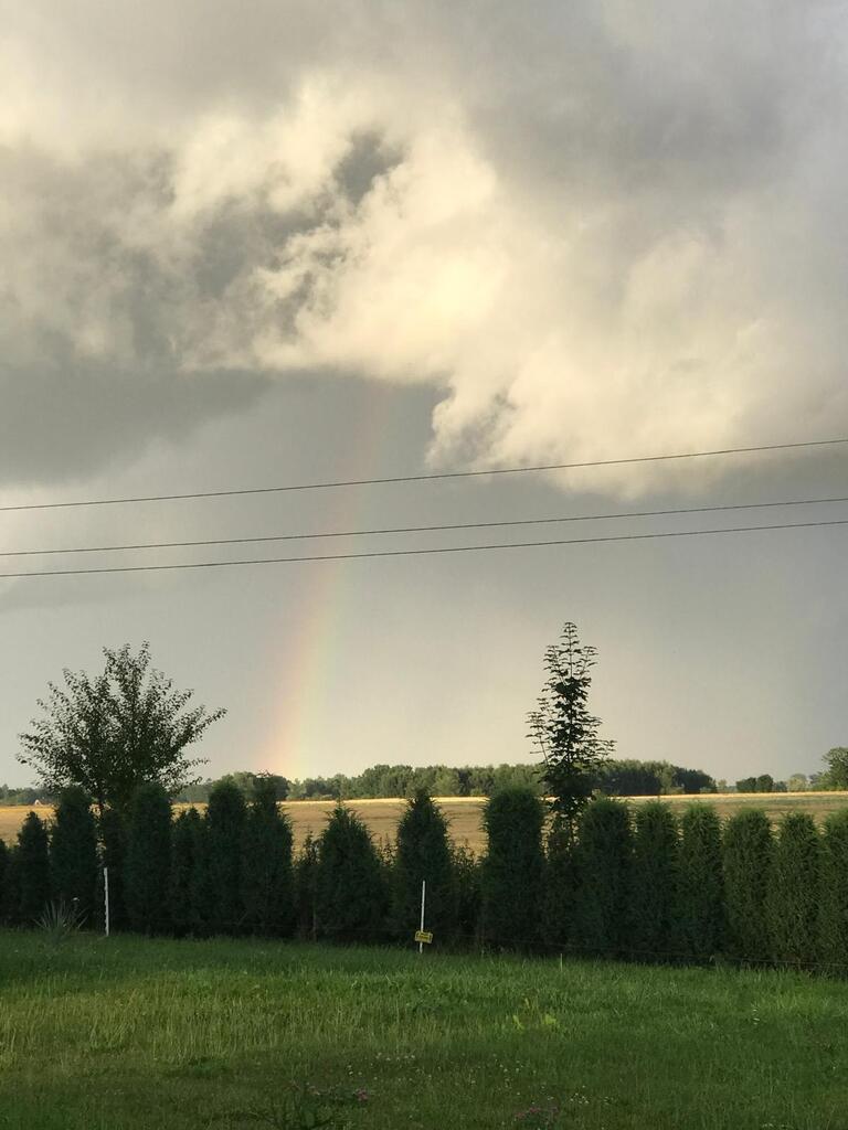 Dom na sprzedaż Kodrąb 527 m2 | Arka Nieruchomości