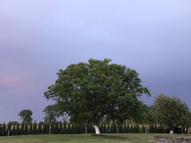 Dom na sprzedaż Kodrąb 320 m2 | Arka Nieruchomości