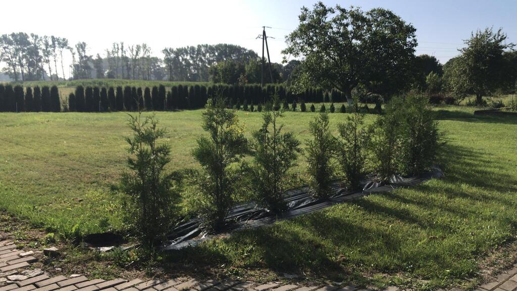 Dom na sprzedaż Kodrąb 320 m2 | Arka Nieruchomości