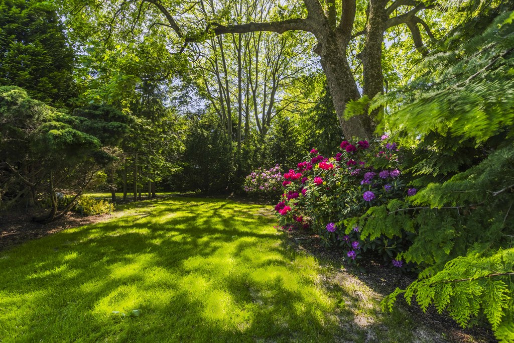 Dom na sprzedaż Szczecin, Osów 305 m2 | Arka Nieruchomości