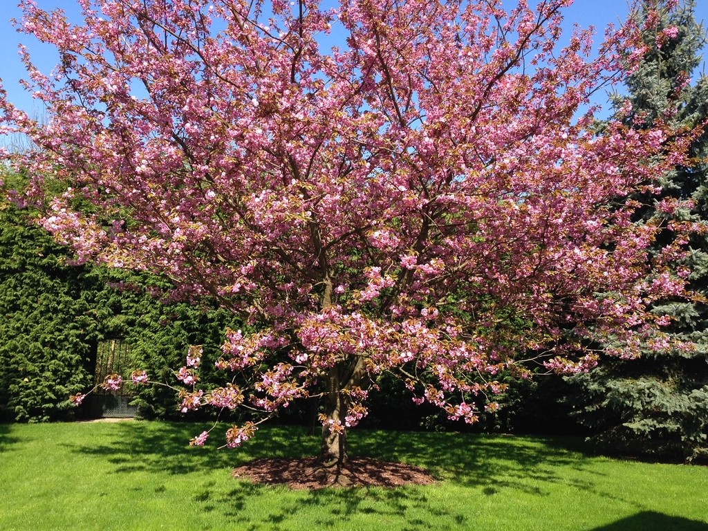 Dom na sprzedaż Szczecin, Osów 305 m2 | Arka Nieruchomości