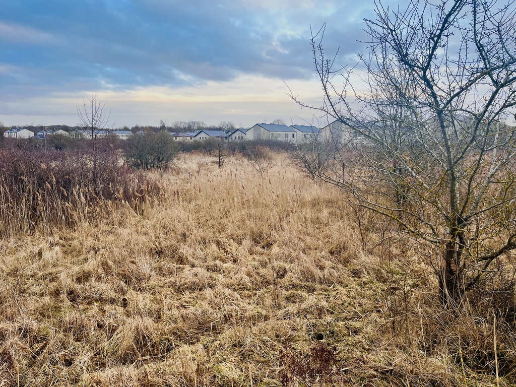 Działka na sprzedaż Bezrzecze 971 m2 | Arka Nieruchomości