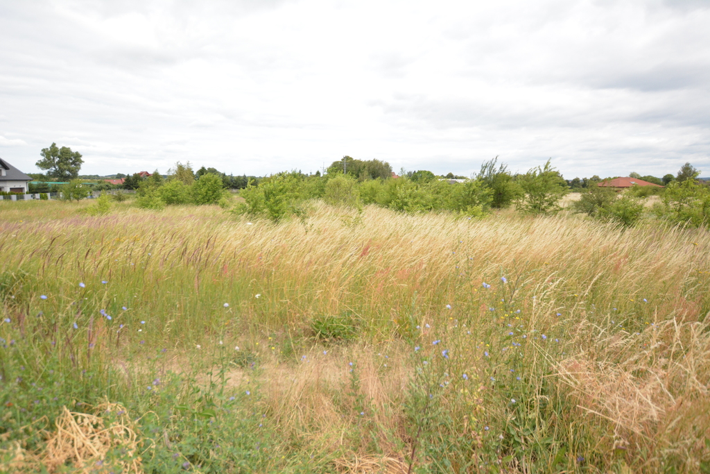 Działka na sprzedaż Wąwelnica 3 166 m2 | Arka Nieruchomości