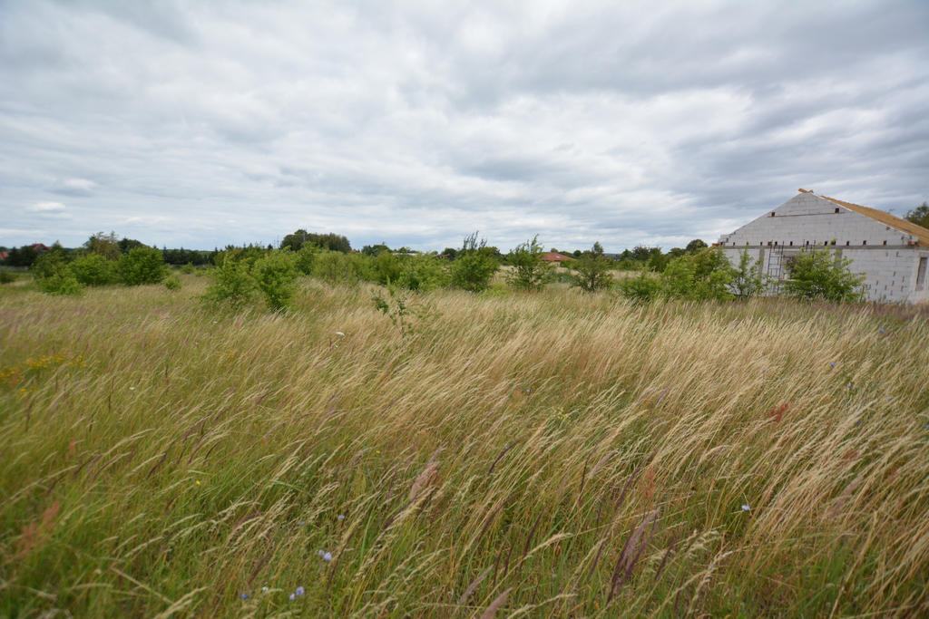 Działka na sprzedaż Wąwelnica 3 166 m2 | Arka Nieruchomości