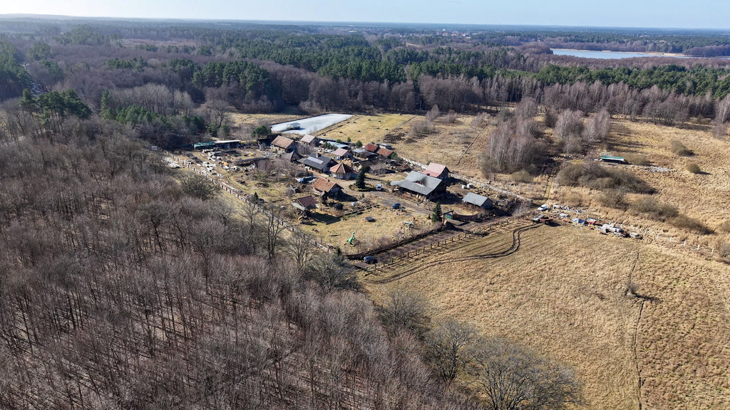 Działka na sprzedaż Krągi 3 000 m2 | Arka Nieruchomości