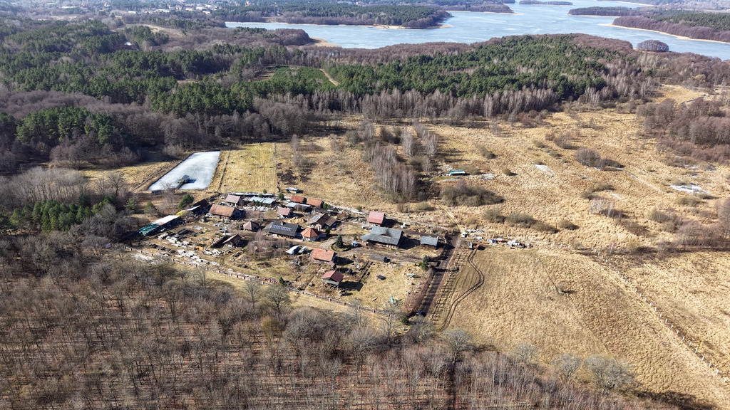 Działka na sprzedaż Krągi 3 000 m2 | Arka Nieruchomości