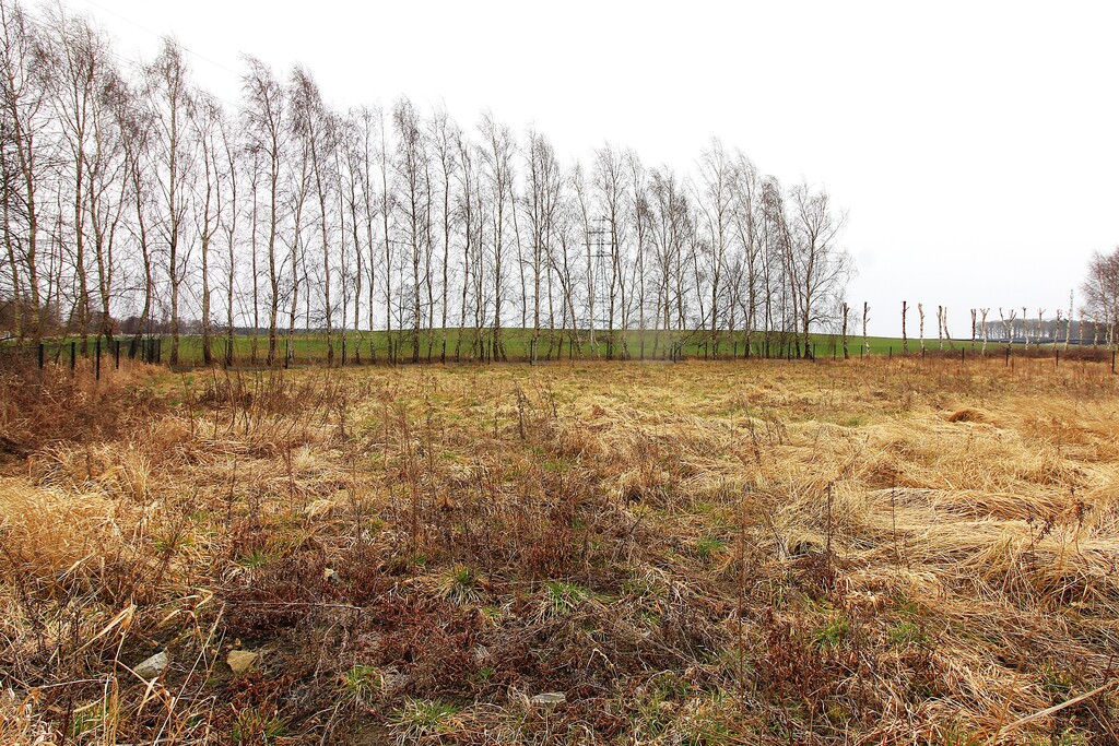 Działka na sprzedaż Lędzin 744 m2 | Arka Nieruchomości