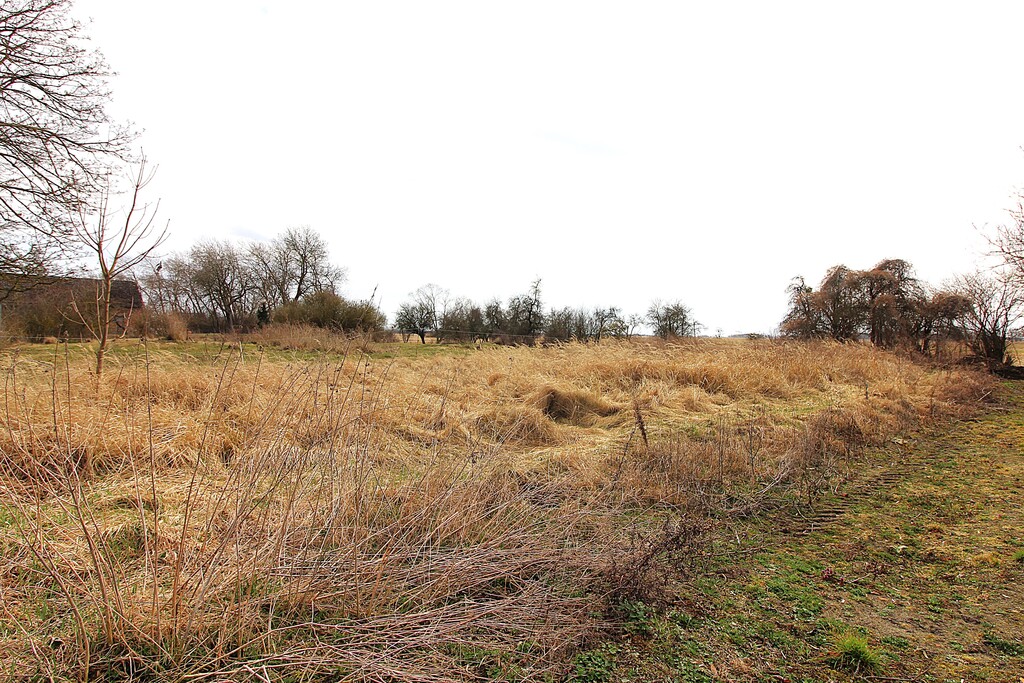 Działka na sprzedaż Kopice 3 305 m2 | Arka Nieruchomości