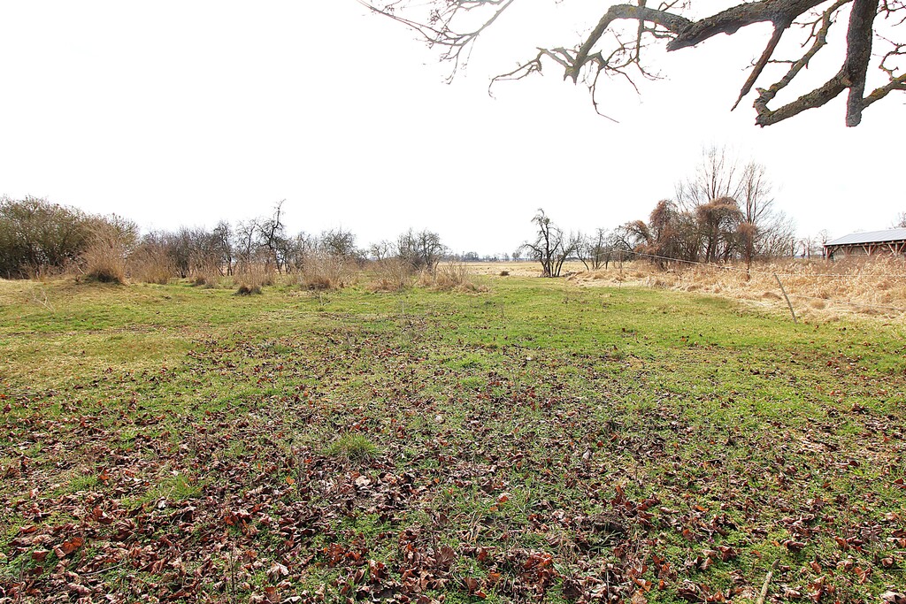 Działka na sprzedaż Kopice 3 305 m2 | Arka Nieruchomości