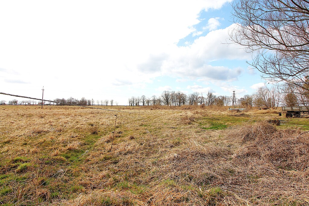 Działka na sprzedaż Kopice 3 305 m2 | Arka Nieruchomości