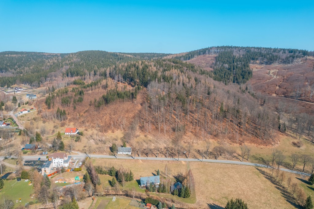 Działka na sprzedaż Jarkowice 1 317 m2 | Arka Nieruchomości